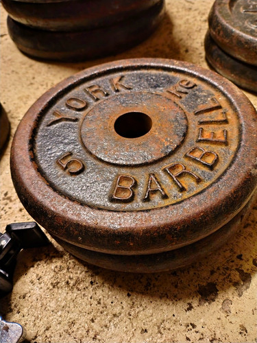 York barbell 5kg - barbell,